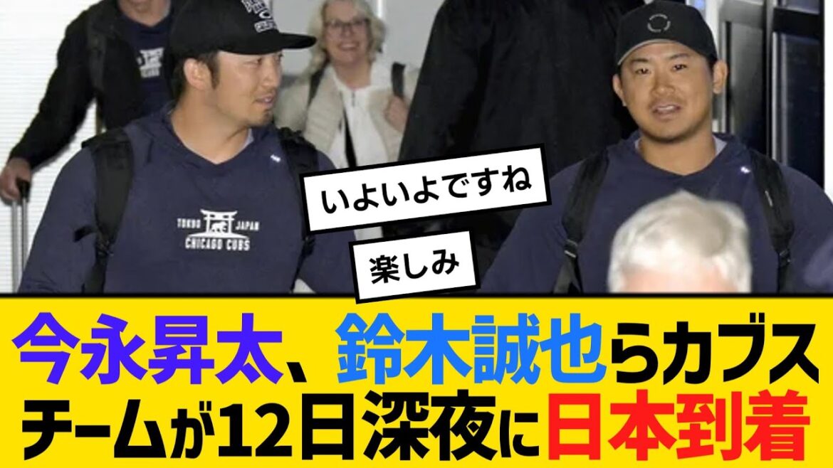 Cub steam team including Imanaga Shota and Suzuki Seiya arrive in Japan late at night on the 12th[Net Reactions][Reaction Collection]