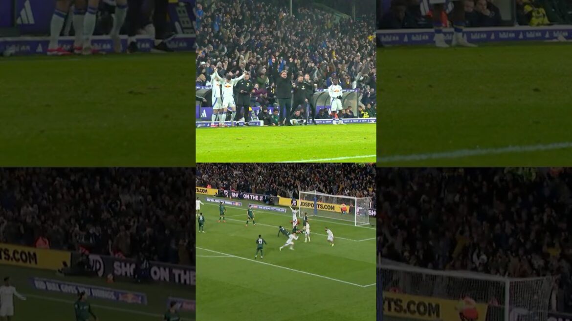 Farke enjoys superb Ao Tanaka goal | Dugout Cam