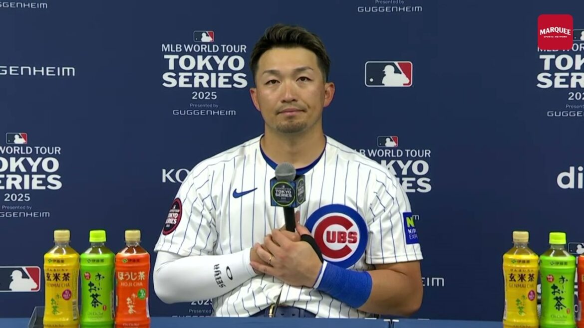Seiya Suzuki postgame press conference