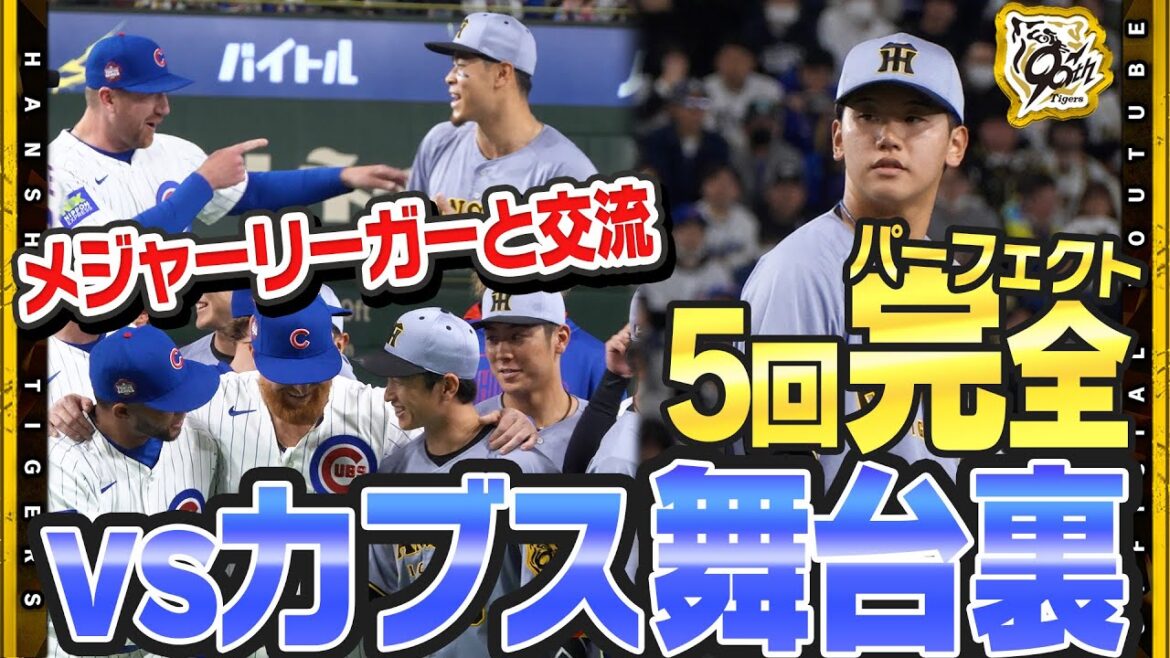 [#Iwasdiscoveredbytheworld!?】#KemonbetsuKeitoTheathletesareincredibleandperfectpitch!"IrealizedafterIfinishedpitching"hehimselfwassurprised...WebringyoubehindthescenesoftheCubsmatchcapturedbyapublicrelationscamera!#chicagocubs