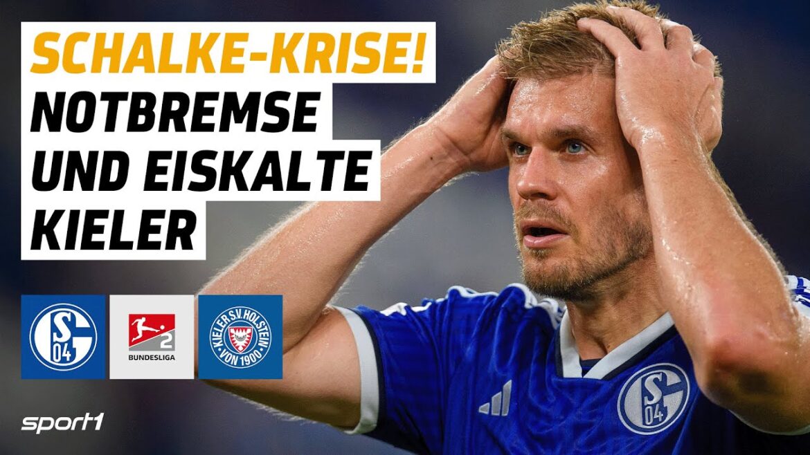 FC Schalke 04 – Holstein Kiel | 2. Bundesliga goals and highlights 4th matchday FC Schalke 04 - Holstein Kiel | 2. Bundesliga goals and highlights 4th matchday