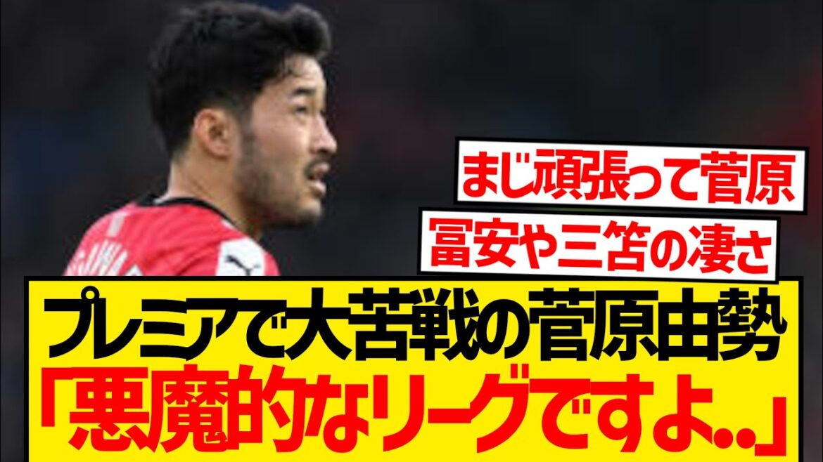 [Stifficult]Sugawara Yuse finally realizes it lol lol