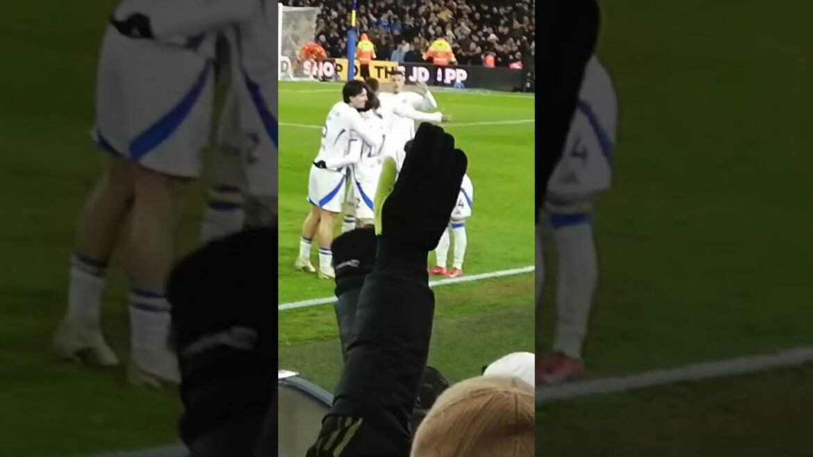 Leeds United AO Tanaka makes it 2 nil at Elland Road against Millwall. #leedsunited #championship