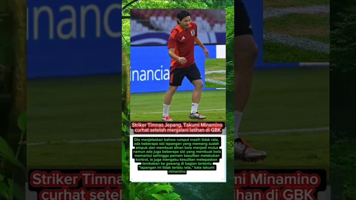 Japanese national team striker, Takumi Minamino confides the condition of the GBK grass after training