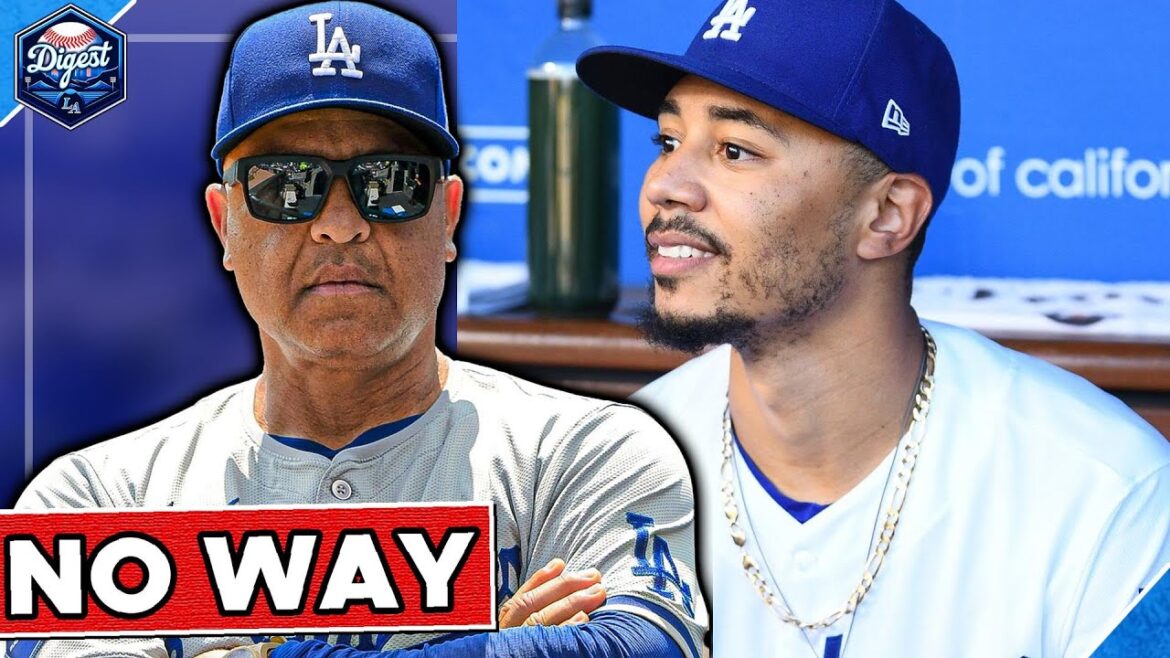 All Signs Point to THIS… All Signs Point to THIS...