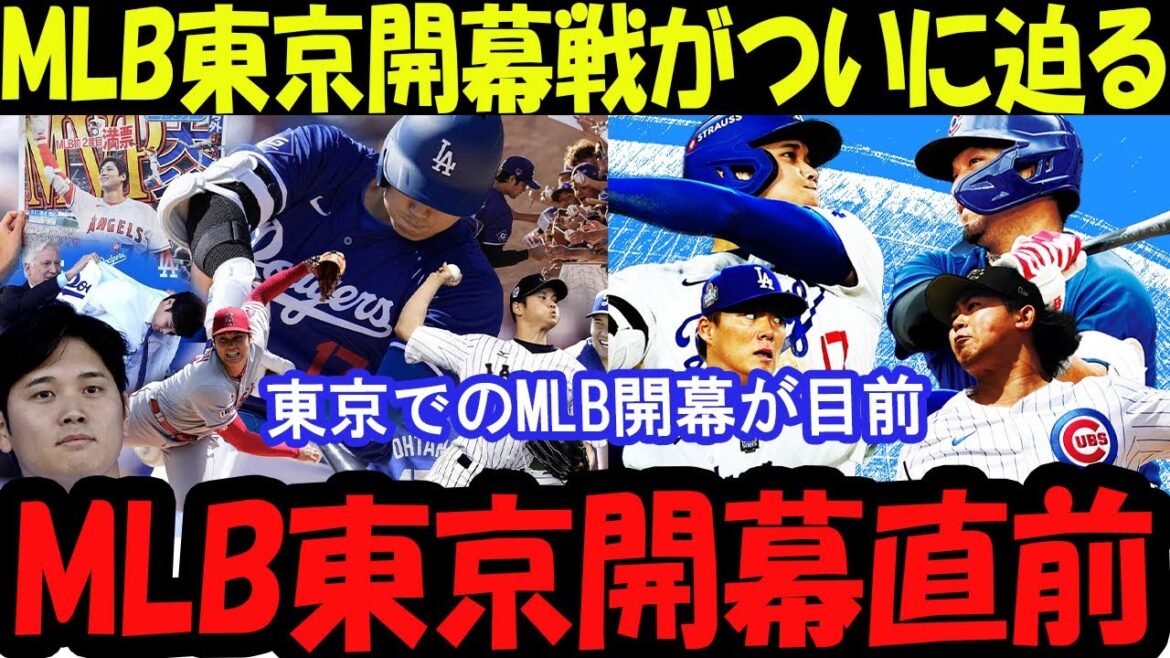 The opening match of MLB Tokyo is finally approaching! A thorough explanation of the hottest showdowns and highlights!