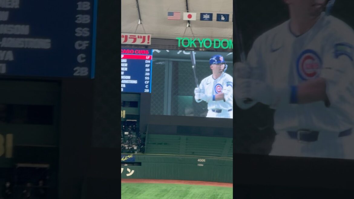 Fans greet Suzuki Seiya's triumphant return to Japan with applause