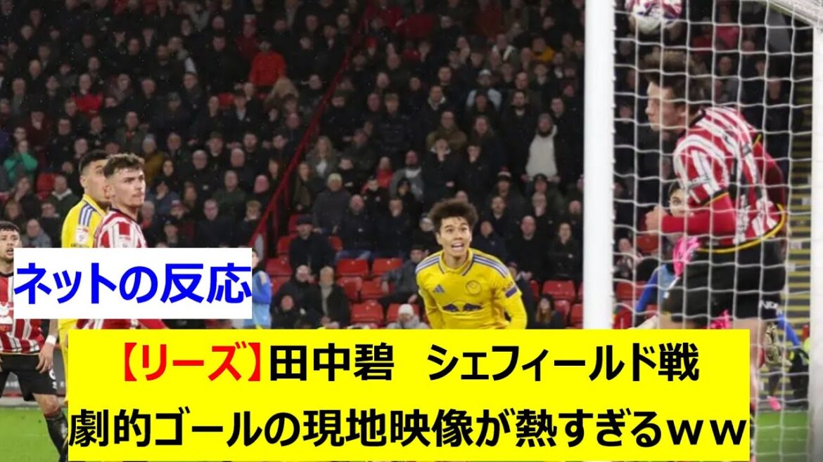 [Less]Tanaka Aoi's dramatic goal against Sheffield is too hot lol