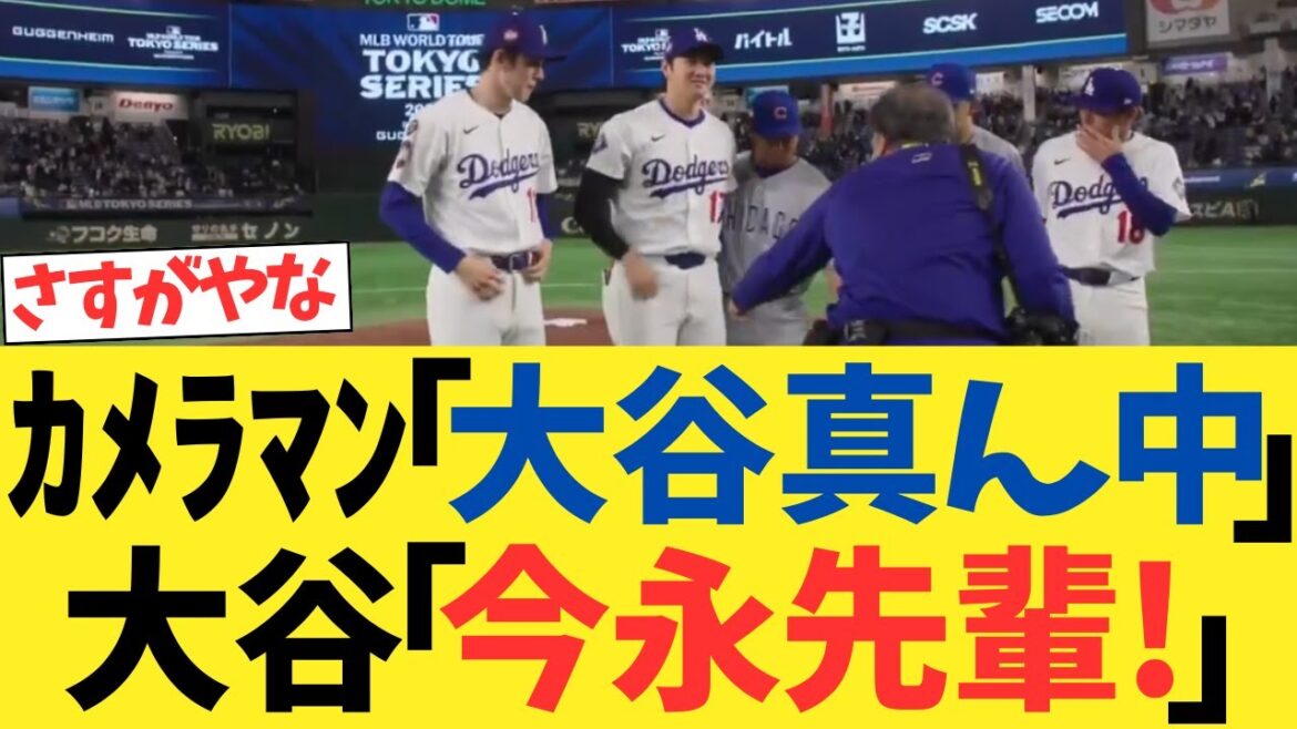 Photographer: "Otani-san, middle!" Otani: "Imanaga-san, senior?"