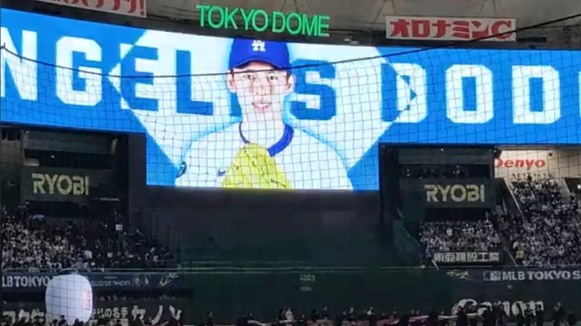 [2025MLB Tokyo Series]Otani Shohei, Sasaki Roki, Suzuki Seiya announced the starting lineup (Dodgers vs Cubs)