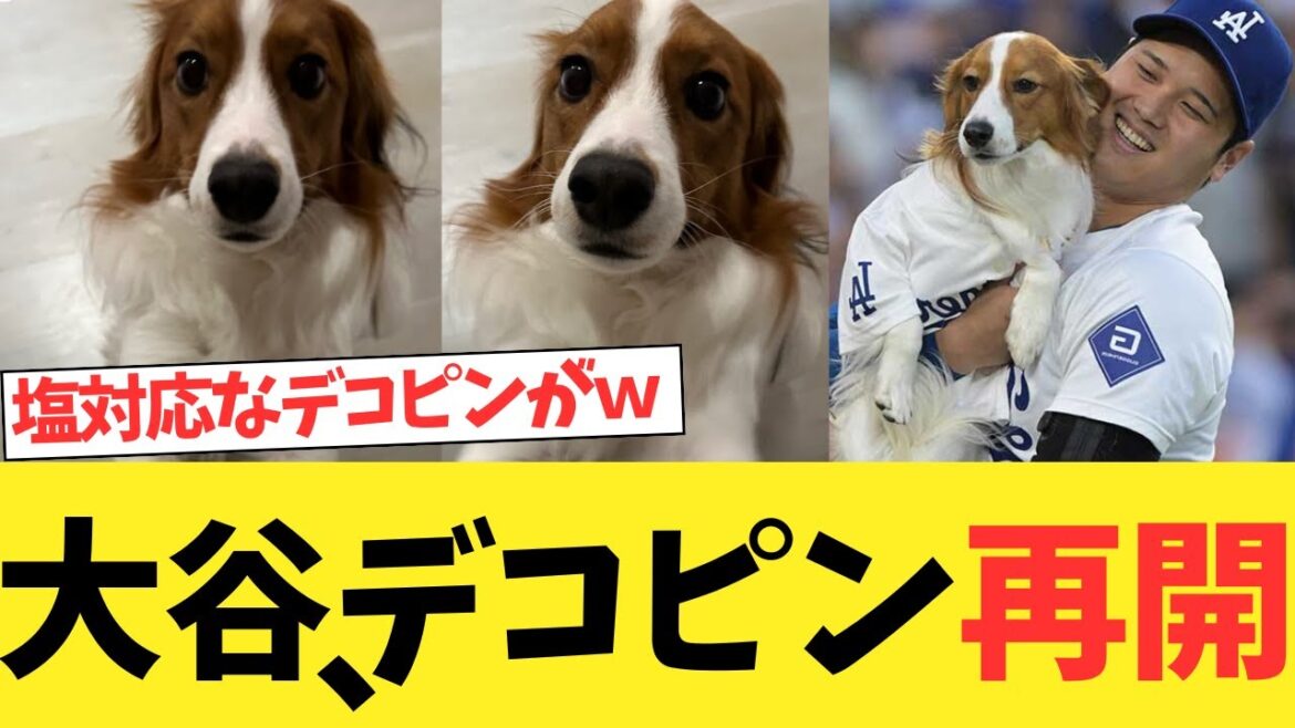 Decopene resumes with Otani Shohei! ! ! ! ! ! ! ! LOL