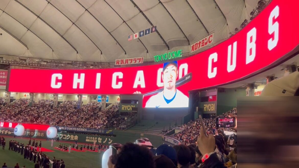 [Local footage]The opening second game, Cubs[Starting lineup announced]