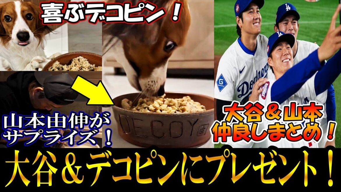 [Otani Shohei]Yamamoto Yushin gives Otani a surprise gift! Yamamoto makes homemade plates (ceramics) for decopine! A summary of Otani and Yamamoto's friendships Shohei Ohtani! Bizen ware