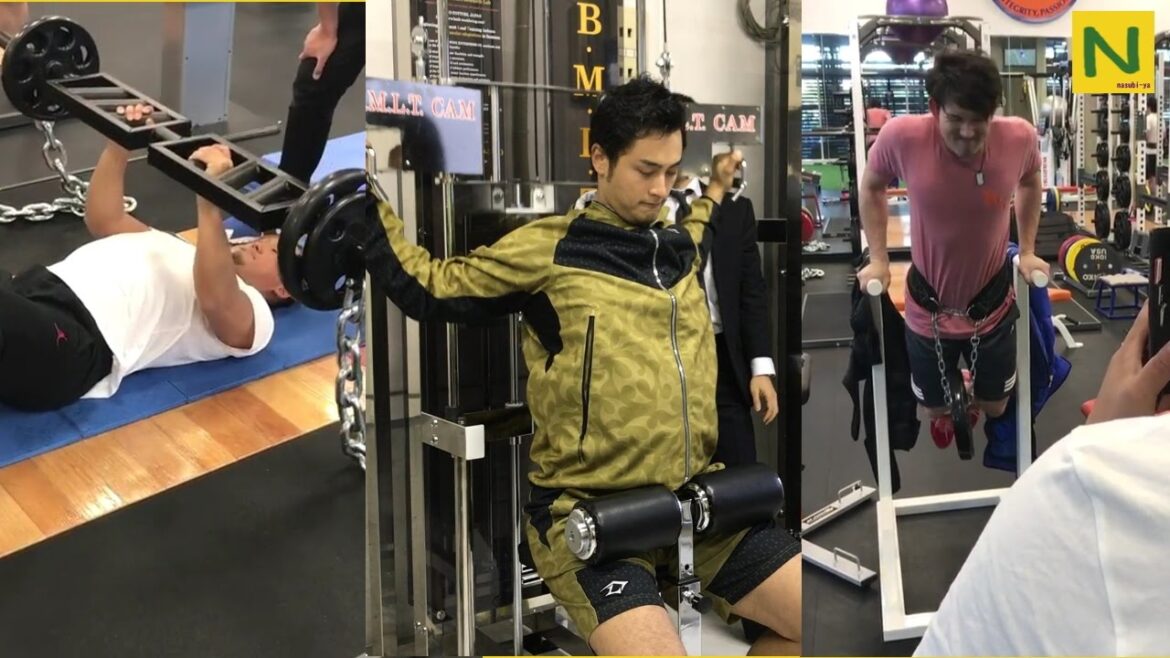 Darvish and his friends 16-17 Training summary | Darvish&friends 16-17 training