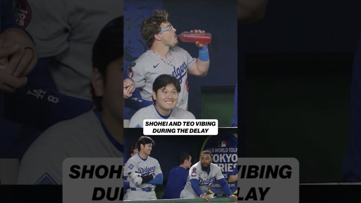 Shohei Ohtani and Teo Were Having Fun at The Tokyo Series 😂 #MLB #BaseBall #Dodgers #ShoHEOHTANI