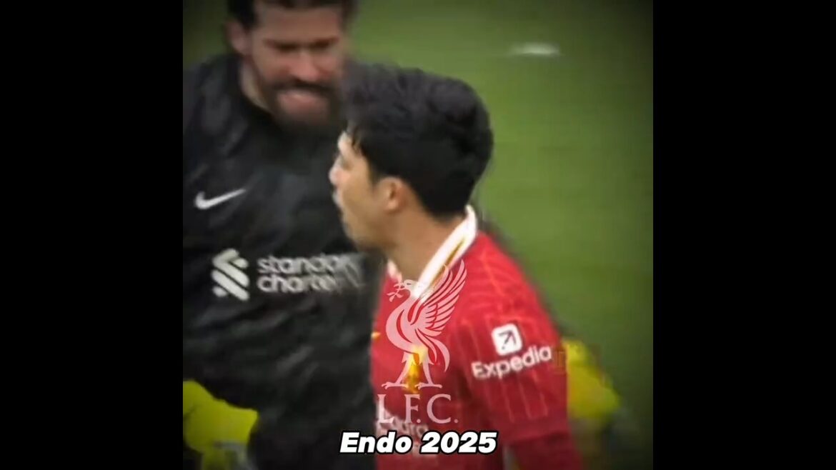 The past and present of the Japan national football team #now #Japan The past and present of the Japan national football team #now #Japan