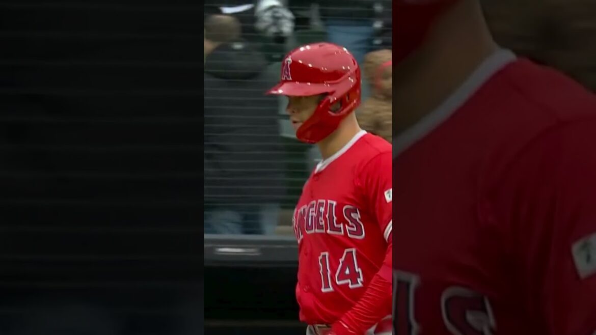 Los Angeles Angels 1-8 Chicago White Sox – MLB – Opening Day – Venable achieves his first victory Los Angeles Angels 1-8 Chicago White Sox - MLB - Opening Day - Venable achieves his first victory