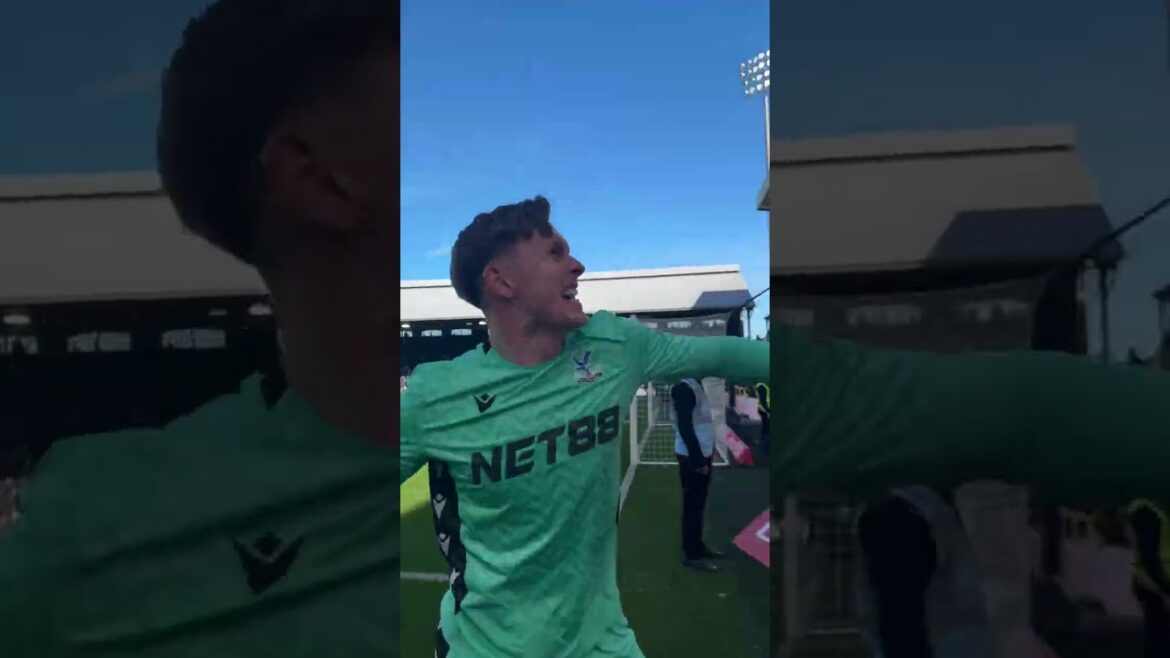 Just leaving this here... #cpfc #crystalpalace #facup