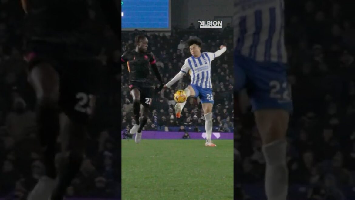 Mitoma's PHENOMENAL TOUCH And Goal 😱😳😱😳  #brightonandhovealbion #kaorumitoma #chelsea