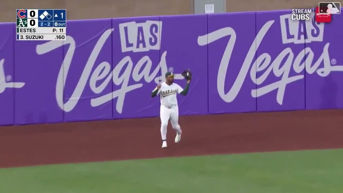 Seiya Suzuki’s Sacrifice Fly Seiya Suzuki's Sacrifice Fly