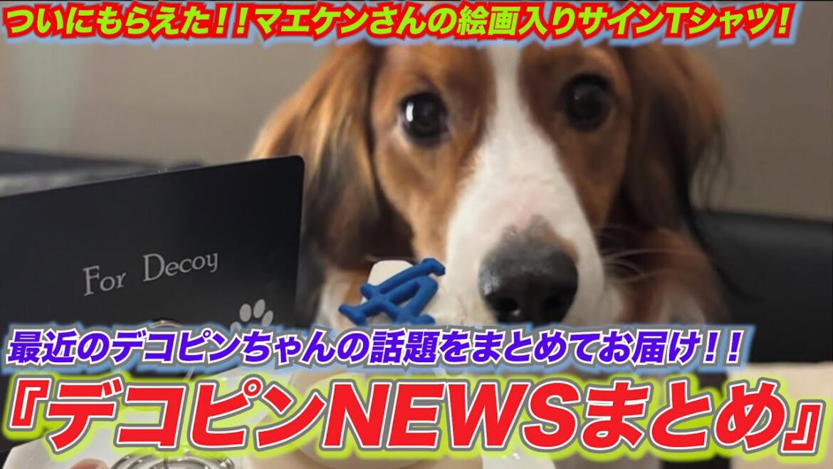 We've put together a list of recent topics about Decopine! We've finally got Decopine NEWS Summary! ! A signed T-shirt with a painting by Maeken!