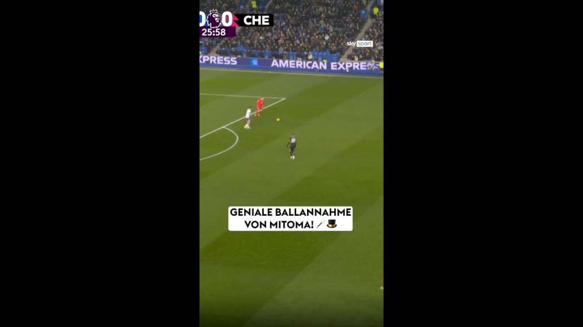 Fantastic assumption of Mitoma