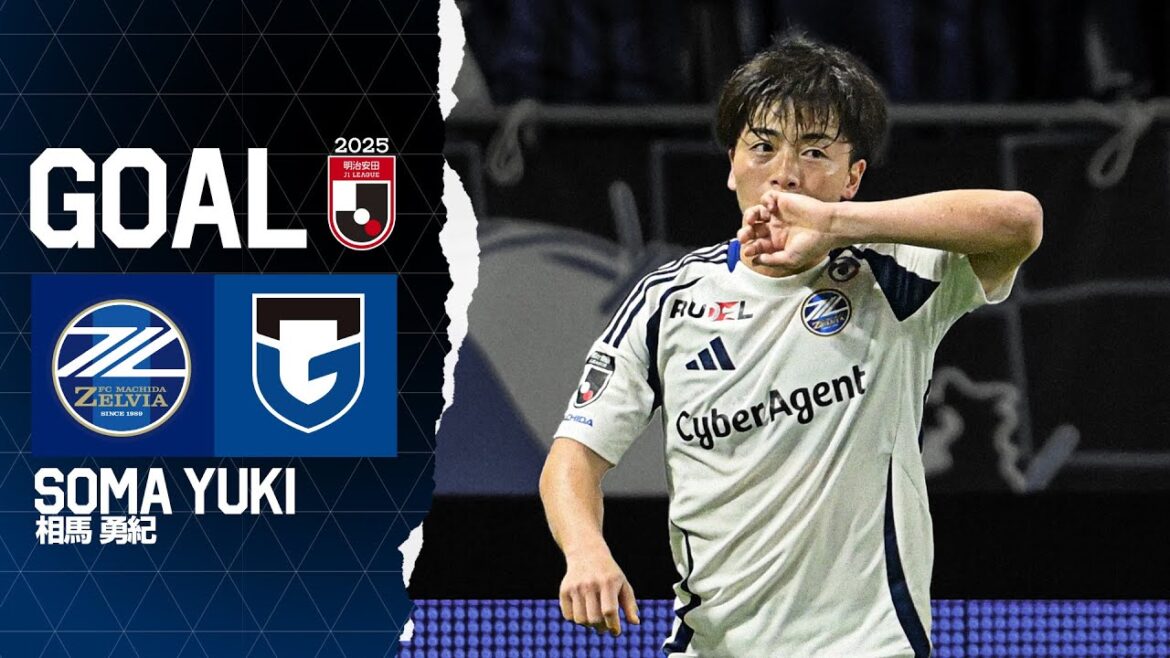 [GOAL/Soma Yuki]FC Machida Zelvia vs Gamba Osaka | J League