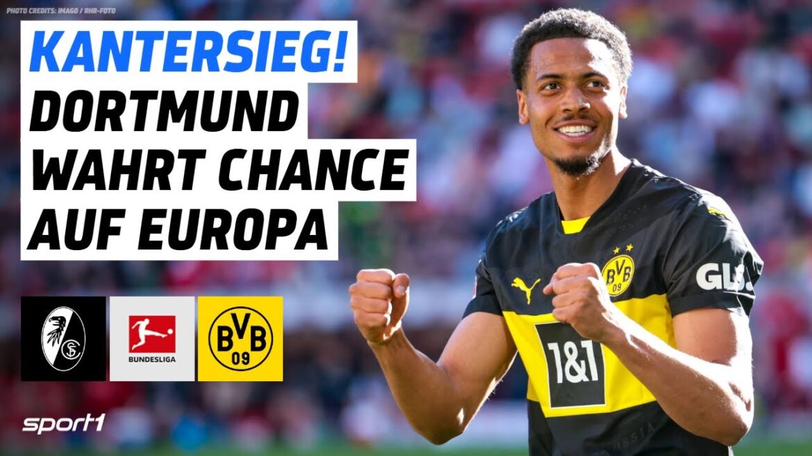 SC Freiburg - Borussia Dortmund | Bundesliga goals and highlights 28th matchday