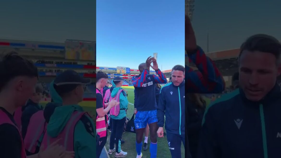 Wait for the most passionate FANTASTIC yet #CPFC #brighton #premierleague