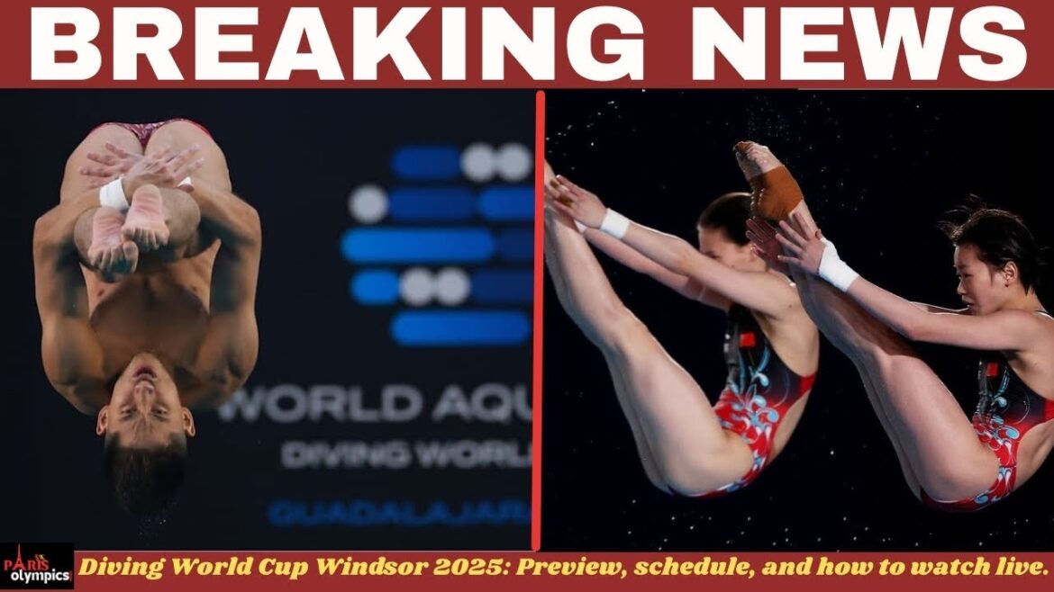 Diving World Cup Windsor 2025: The second stop of the World Aquatics Diving World Cup 2025 lands…. Diving World Cup Windsor 2025: The second stop of the World Aquatics Diving World Cup 2025 lands....