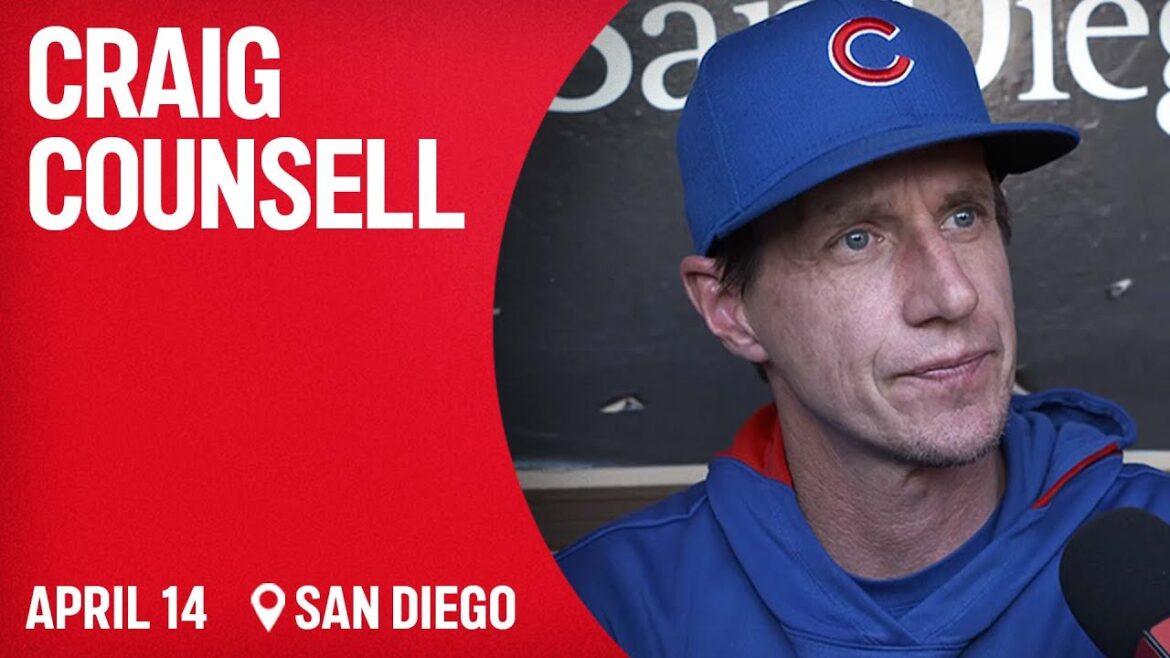 Cubs manager Craig Counsell provides latest Seiya Suzuki, Carson Kelly injury updates Cubs manager Craig Counsell provides latest Seiya Suzuki, Carson Kelly injury updates