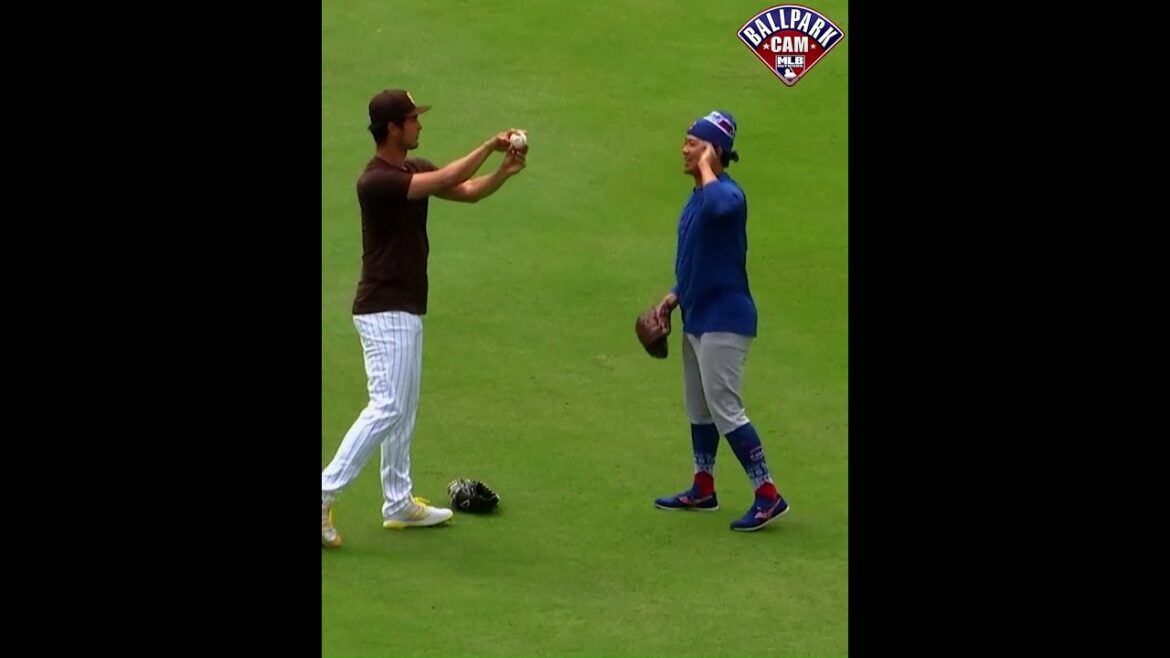 Darvish and Imanaga exchange pitch grips pregame