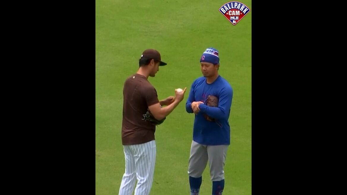 Darvish has Imanaga Shota