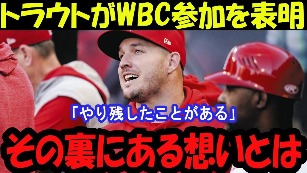 [Shocking]Trout announces participation in the WBC! What is the true meaning of "I have something left to do"?
