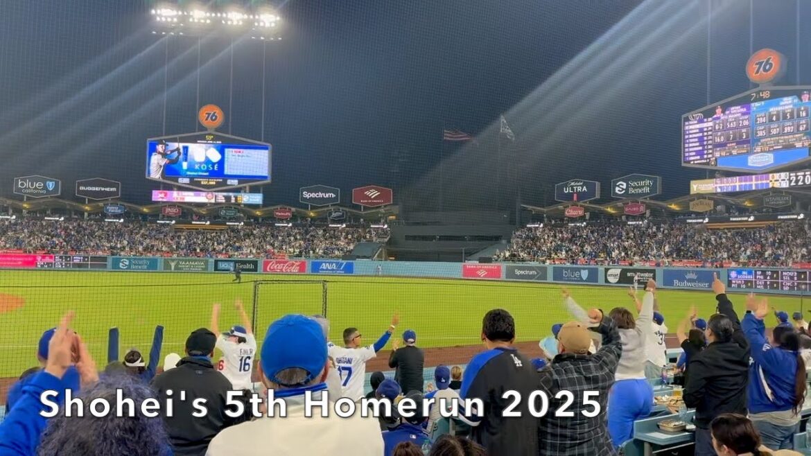 Dodger Nation LOVES Shohei Ohtani