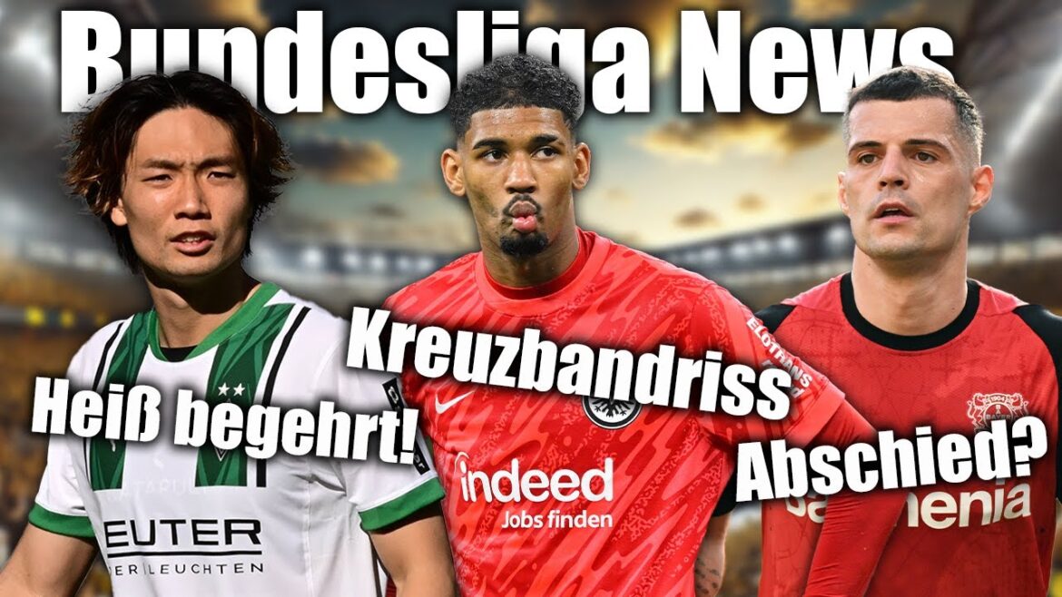 BVB, Bavaria & Co. Jage ItaCura! Mega shock for Frankfurt! Does Xhaka leave Leverkusen?