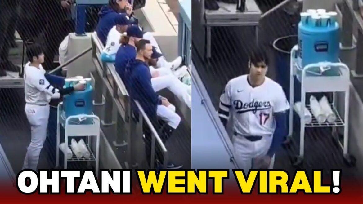 Shohei Ohtani’s Selfless Act in Dodgers Dugout Wins Hearts | MLB Viral Moment