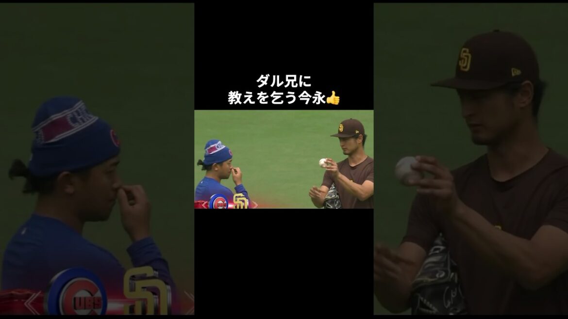 Imanaga asks for teaching my brother Dal👍 #Otani Shohei #mlb #shorts #dodgers #Dodgers #baseball #ohtani #baseball #Darvish #Imanaga