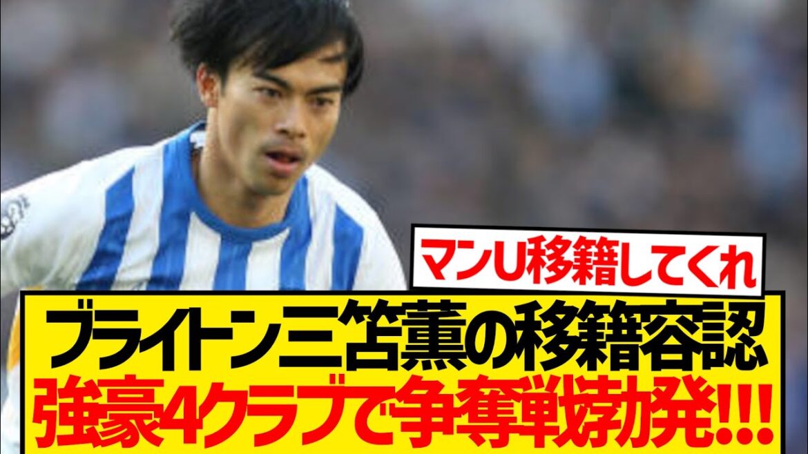 [Popular Stocks]Local reporting is here, with a massive selection of Premier BIG 6 in the battle for Mito Kaoru! ! !