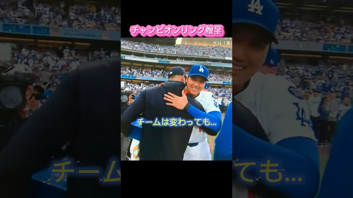 2 million times❗️Otani Shohei✨ A firm hug💓Flaherty presents a championship ring‼ ️A touching moment ✨ #Otani Shohei #Dodgers #Flaherty #JackFlaherty #Flaherty #shoheiohtani