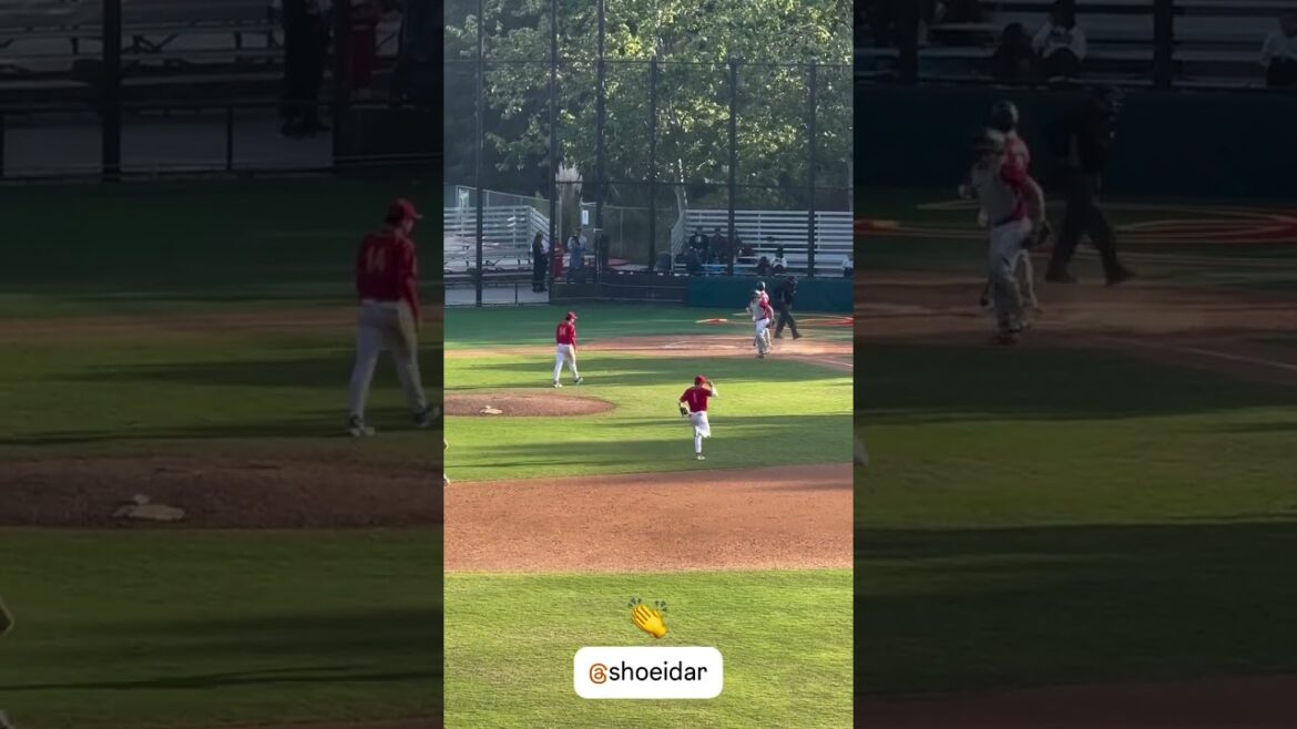 Darvish's son's amazing pitching! 👏