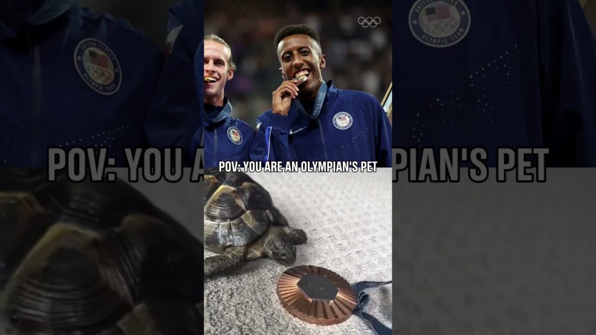 "Tyro" the turtle, also loves the Olympic bronze medal ❤️‍🔥📹: @yaredthegoose #Olympics #Paris2024