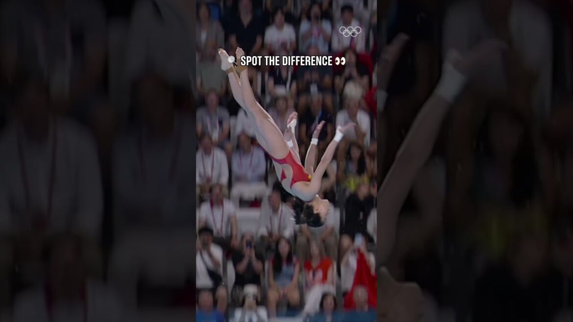 Diving perfection. 🤩