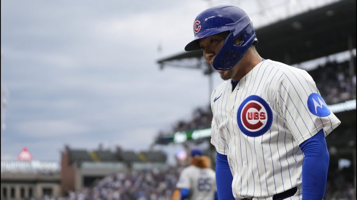 Seiya Suzuki highlights: Watch Chicago Cubs designated hitter's top March/April 2025 moments