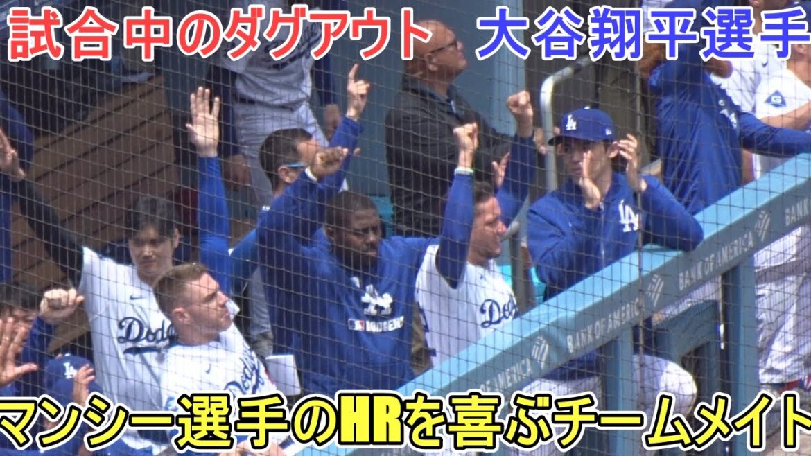 ♦️Dugouts during the match♦️Teammate who delights Muncie's HR[Otani Shohei]vs. Miami Marlins - Final Series - Shohei Ohtani vs Marlins 2025