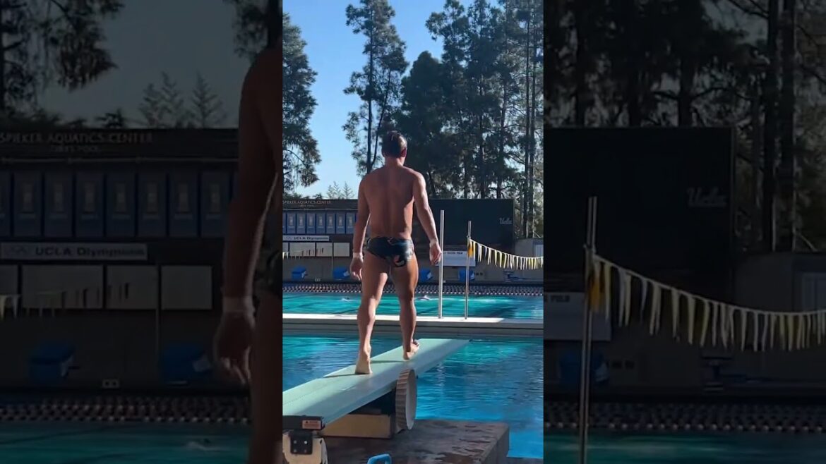 Tom Daley has competition! 👀🤣🤿 Tom Daley has competition! 👀🤣🤿