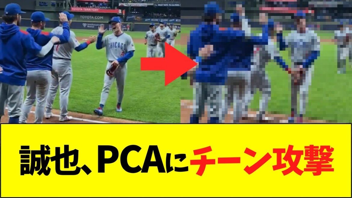 Suzuki Seiya, PCA, Chin's offense and defense, lol