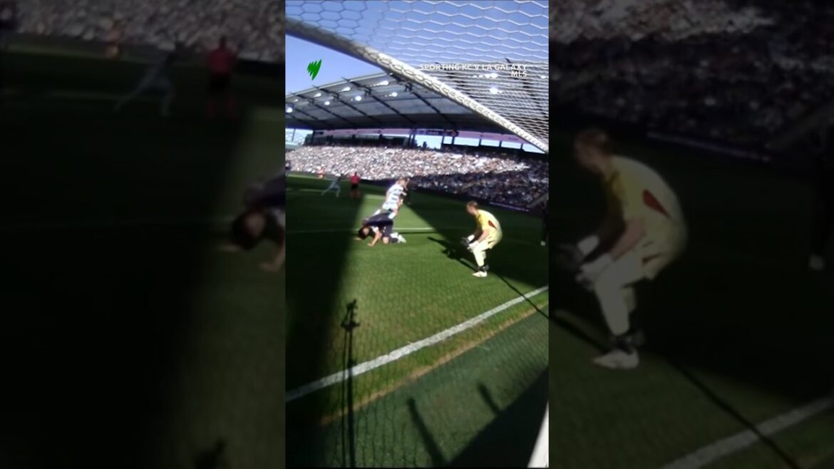 Even World Cup heroes score own goals...