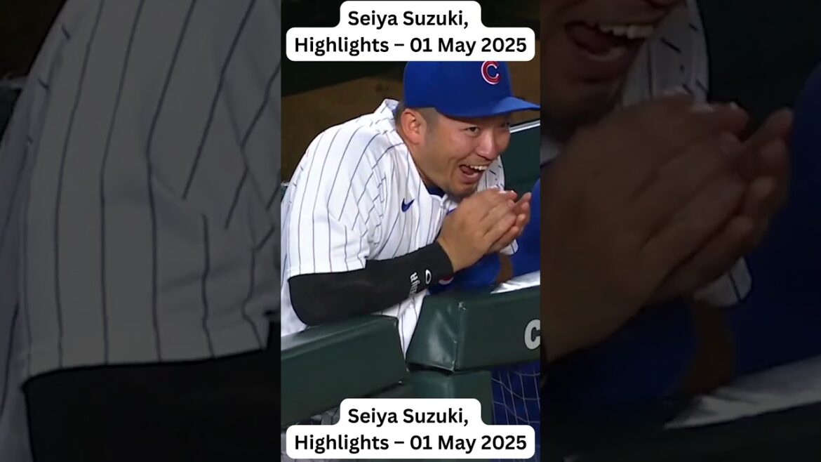 Seiya Suzuki Highlights – 01 May 2025 #shortsfeed #shortvideo Seiya Suzuki Highlights – 01 May 2025 #shortsfeed #shortvideo