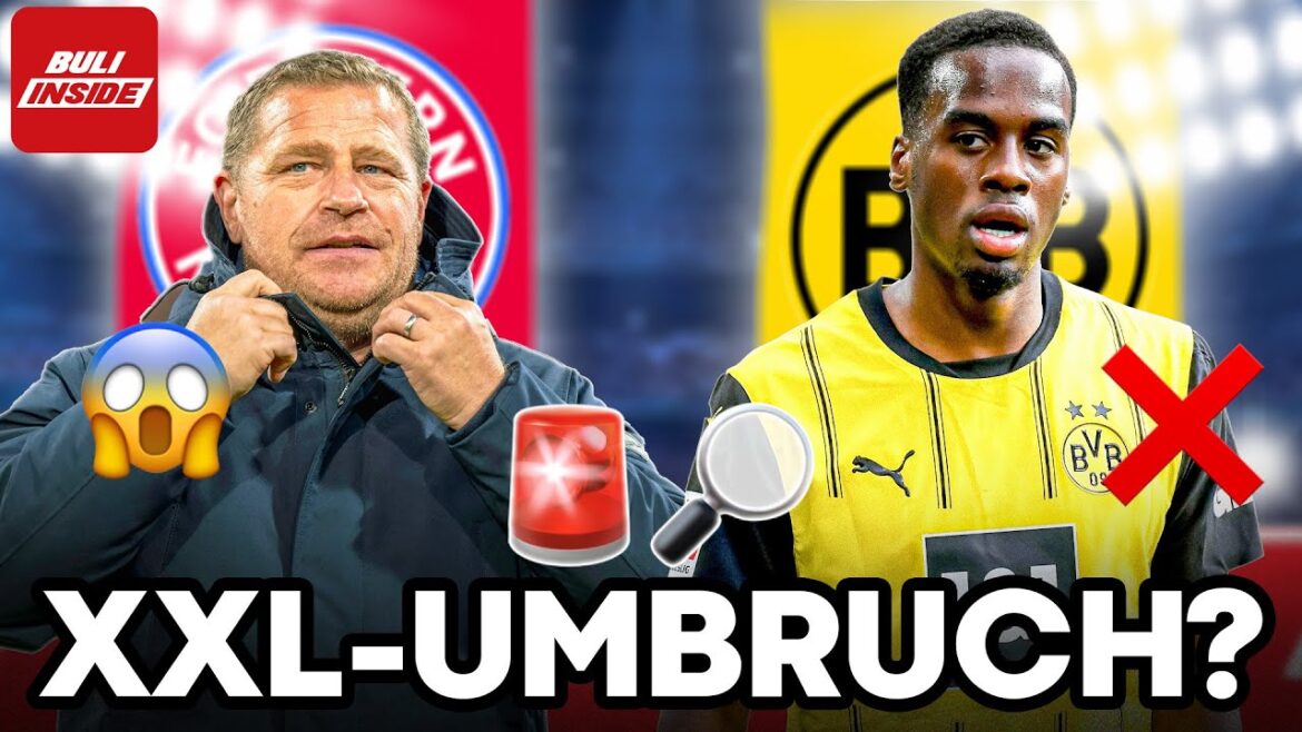 Bavaria clears up! ITaCura to BVB wobbles-Gittens successor on the approach! Bavaria clears up! ITaCura to BVB wobbles-Gittens successor on the approach!